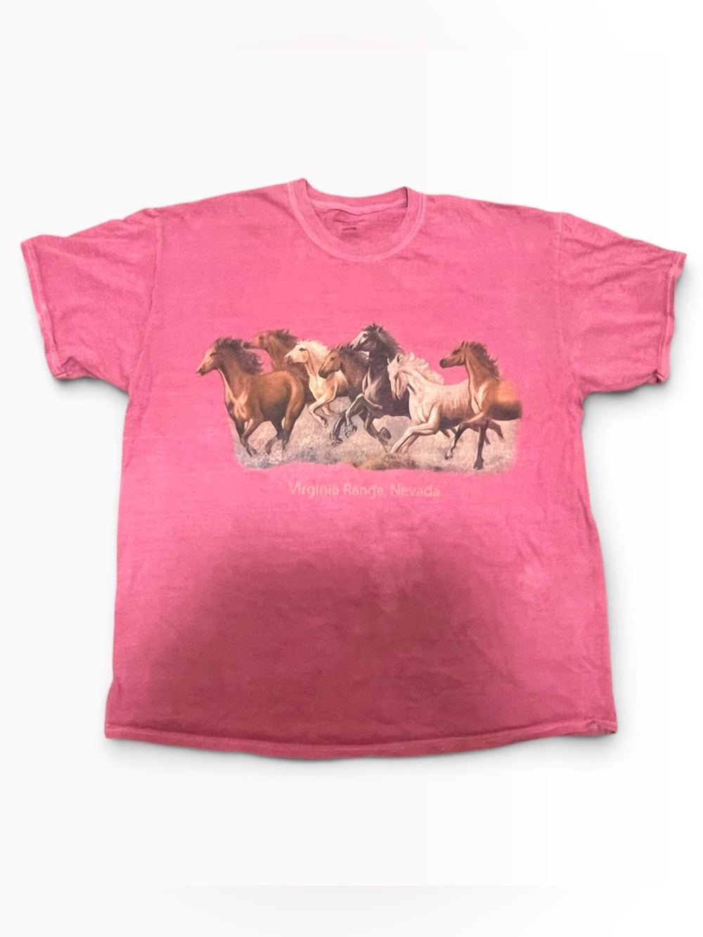 Urban Outfitters Oversized Wyoming Home of Wild Horses Graphic T-Shirt Pink S/M
